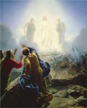 the transfiguration