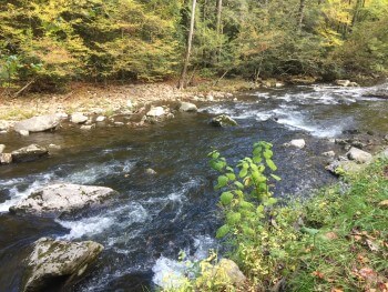 Rock in the River