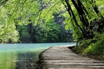 Silent path by the water