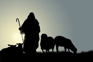 Tuesday, January 1, 2019 - Learn from Shepherds