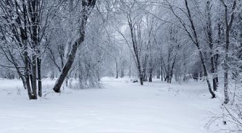 winter landscape