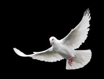 The Spirit of Truth