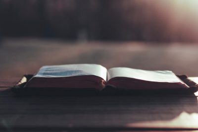 12th Sunday in Ordinary Time Year A, June 22, 2020-"Fear not"