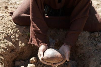 33rd Sunday in Ordinary Time Year A, November 15, 2020-"Unused Talent"