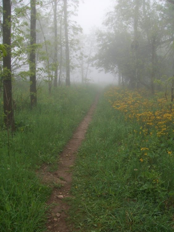 Cycle A 1st Sunday of Lent  Mud or Breath of God?