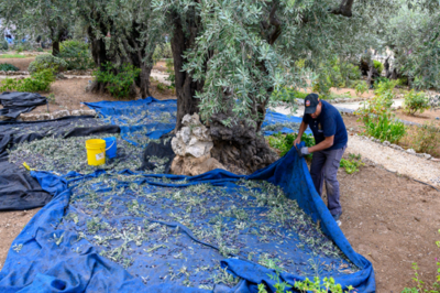 Monday, January 31, 2022, Memorial of Saint John Bosco