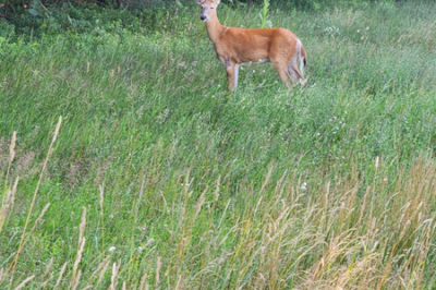 MONDAY OF THE 16TH WEEK OF ORDINARY TIME YEAR A,  July 24, 2023