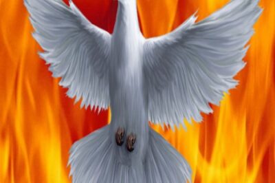 All nations will be brought back to God... Mark "G"