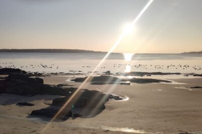 Wednesday, February 4 “He is possessed by Beelzebul,”