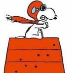 Saturday January 24, 2026: What we can learn from a King and a little dog