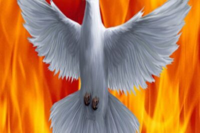 Third Sunday of Easter, 4.19.26,  a reflection by MARK "G".