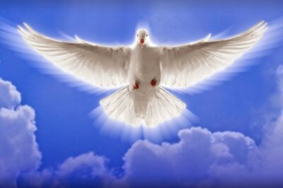 Sunday, 5.3.26:  Fifth Sunday of Easter. Happy May day.
