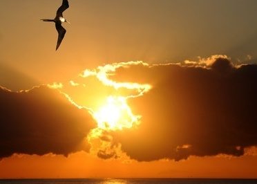 Sunday, 2/5/17 - Your Light Shall Break Forth Like the Dawn