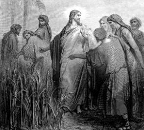 Man Judges by Appearances But Jesus Judges the Heart