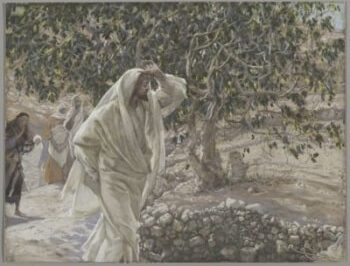 Saturday, 10/24/15  - Patience and Priorities