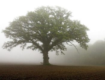 Realize Your God-Given Potential