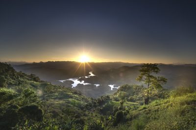 Sunday, May 20, 2018 - See the Forest