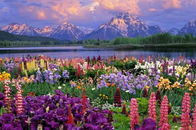 Sunday, 5/26/19 - Constant Renewal