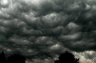 Monday 11/28/2016 - Getting ready for that 'blast of searing judgment'